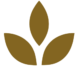               SabMak Wholesale