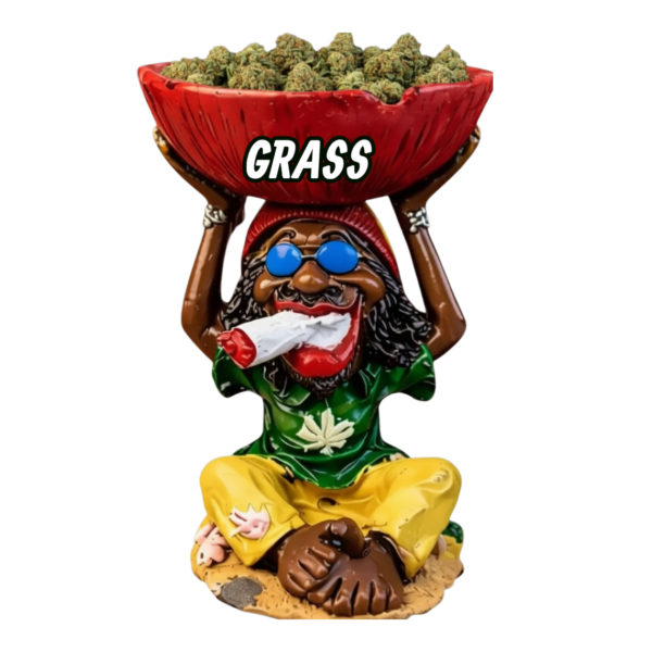 Display Rasta # 001
